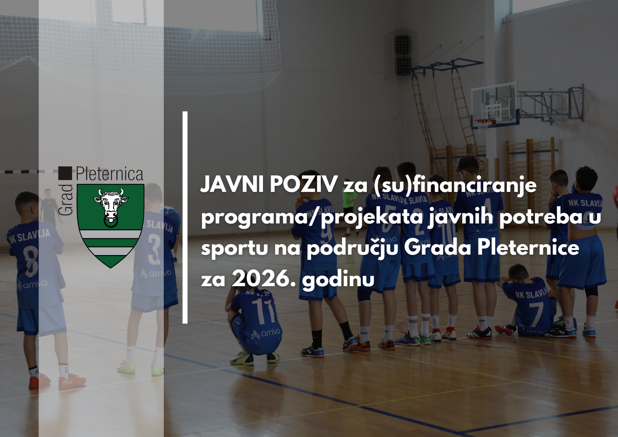 Javni poziv za (su)financiranje programa/projekata javnih potreba u sportu na području Grada Pleternice za 2026. godinu
