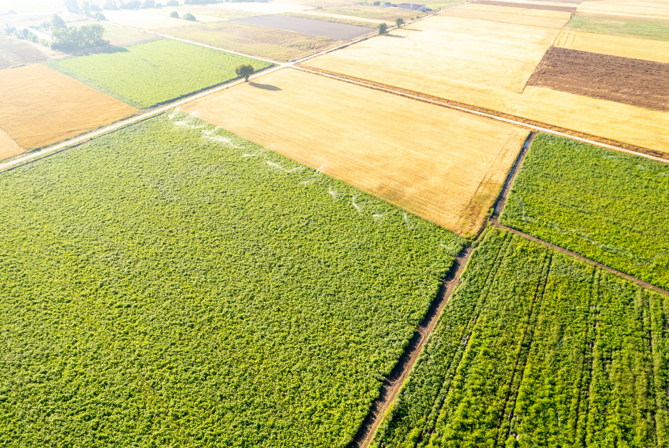 Besplatna edukacija za poljoprivrednike u Pleternici: Naučite kako se prijaviti na natječaj za kupnju poljoprivrednog državnog zemljišta